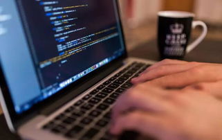 最有利于移民澳洲的6大专业 网络与信息安全软件开发详解与选择指南